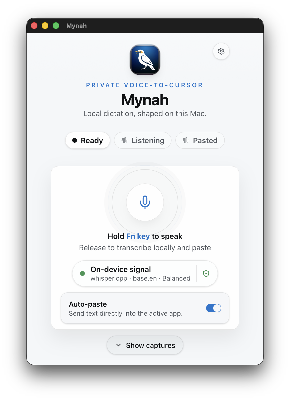 Mynah main window in light theme showing the Fn dictation control.